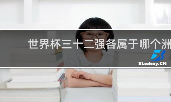 世界杯三十二强各属于哪个洲