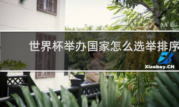 世界杯举办国家怎么选举排序