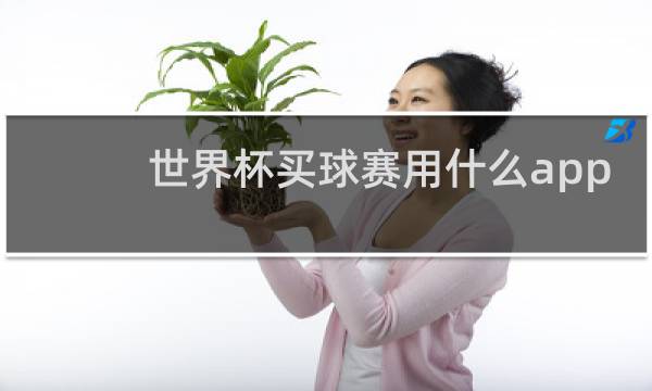 世界杯买球赛用什么app