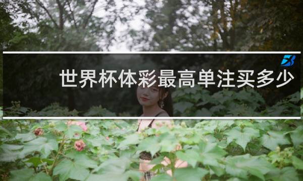 世界杯体彩最高单注买多少
