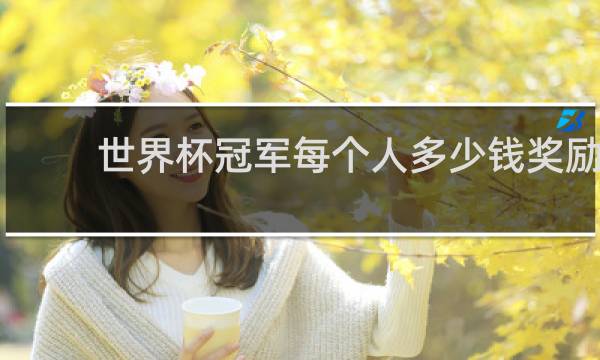 世界杯冠军每个人多少钱奖励