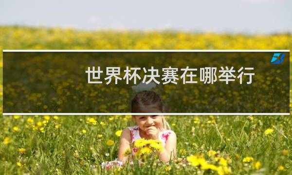 世界杯决赛在哪举行