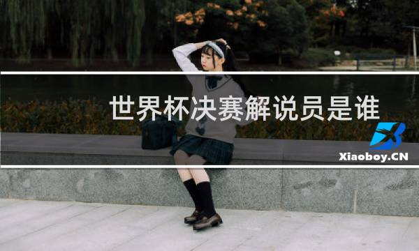 世界杯决赛解说员是谁
