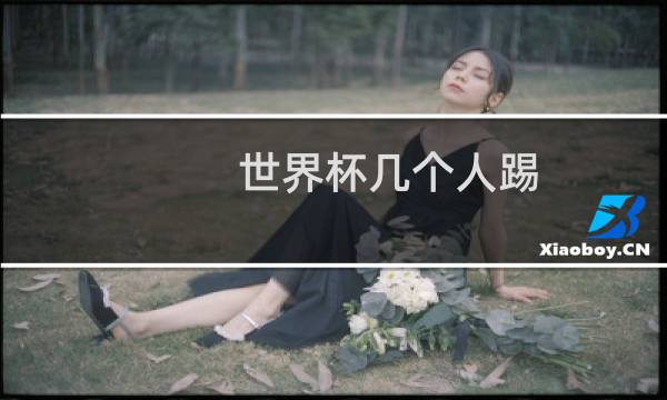 世界杯几个人踢