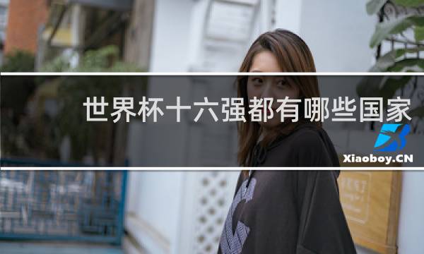 世界杯十六强都有哪些国家