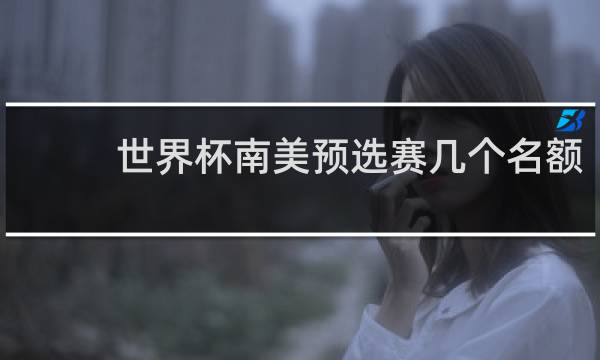 世界杯南美预选赛几个名额