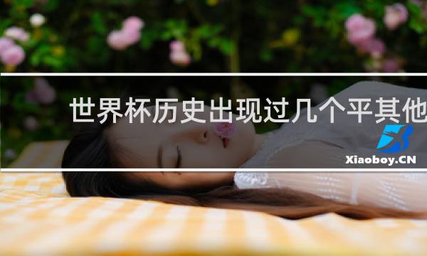 世界杯历史出现过几个平其他