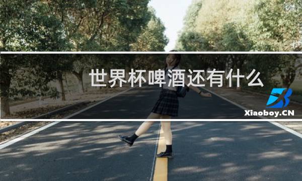 世界杯啤酒还有什么