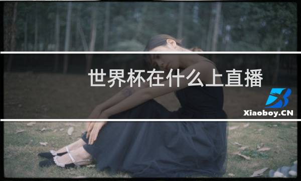 世界杯在什么上直播