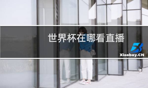 世界杯在哪看直播