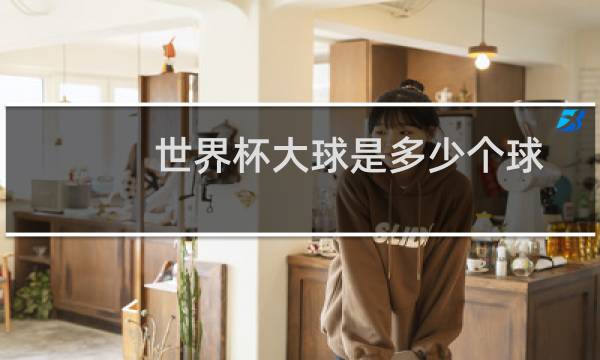 世界杯大球是多少个球
