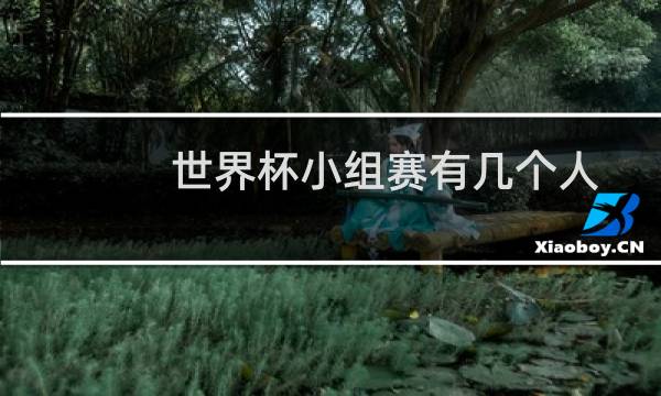 世界杯小组赛有几个人