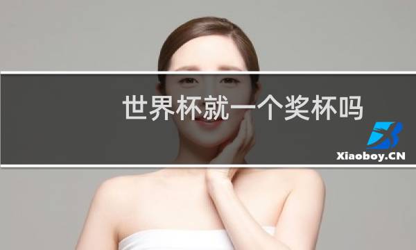 世界杯就一个奖杯吗