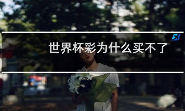 世界杯彩为什么买不了