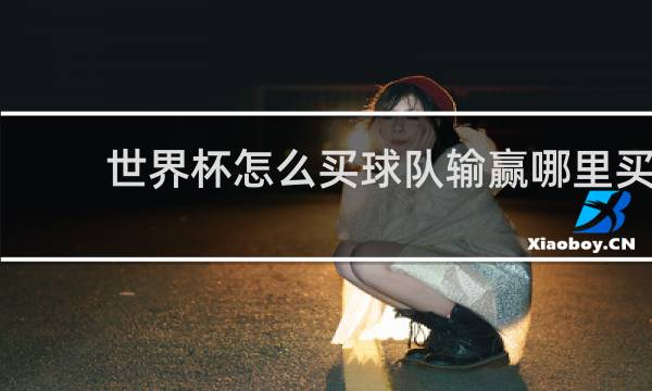 世界杯怎么买球队输赢哪里买