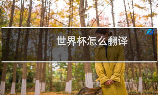世界杯怎么翻译