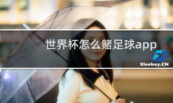 世界杯怎么赌足球app