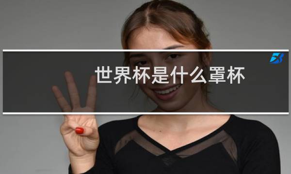 世界杯是什么罩杯