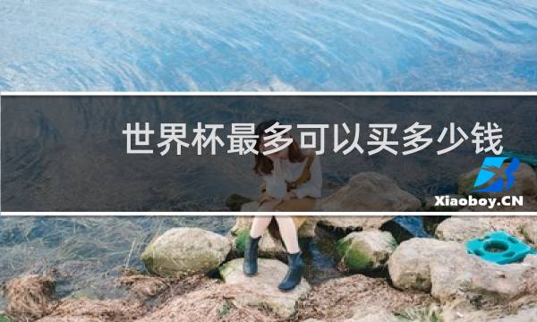 世界杯最多可以买多少钱
