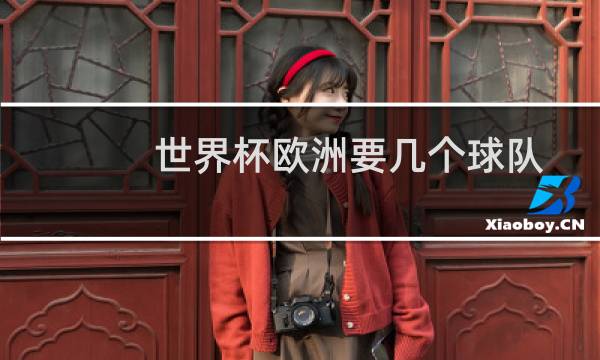 世界杯欧洲要几个球队