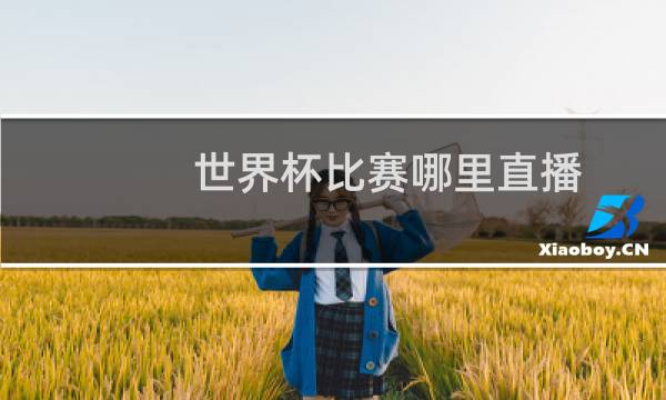 世界杯比赛哪里直播