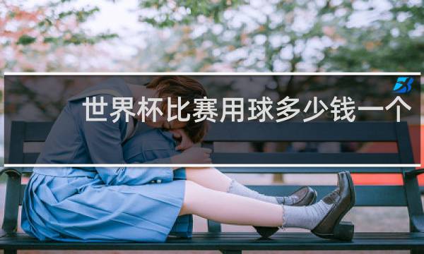 世界杯比赛用球多少钱一个