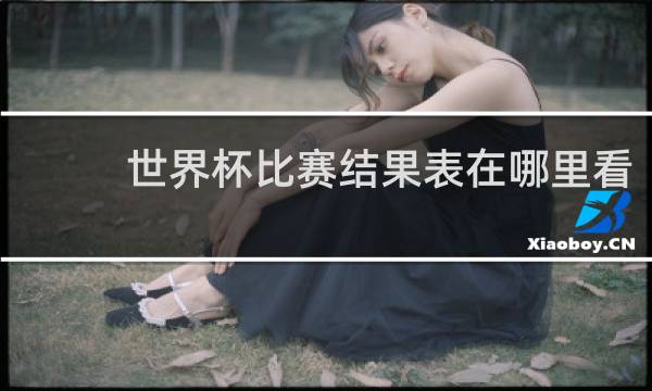 世界杯比赛结果表在哪里看