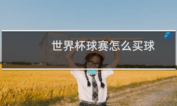 世界杯球赛怎么买球