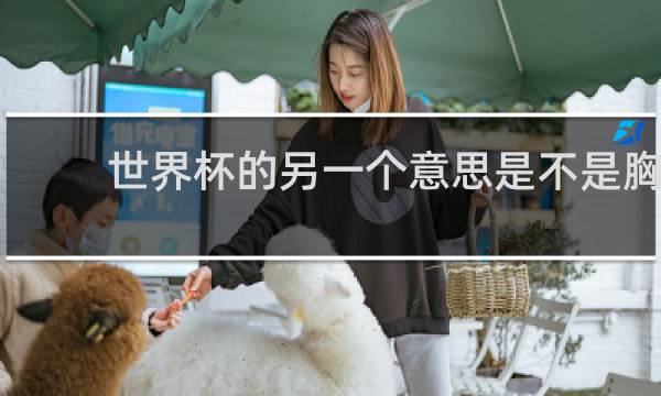 世界杯的另一个意思是不是胸