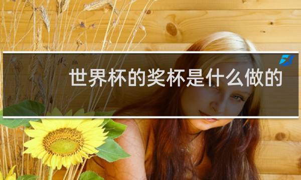 世界杯的奖杯是什么做的