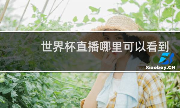 世界杯直播哪里可以看到