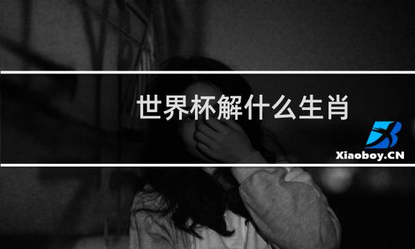 世界杯解什么生肖