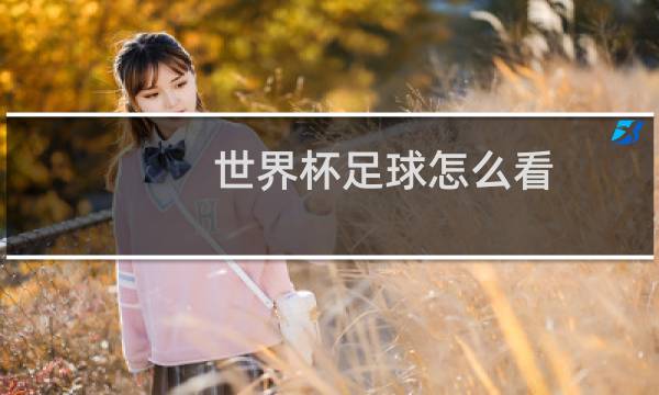 世界杯足球怎么看
