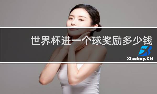 世界杯进一个球奖励多少钱