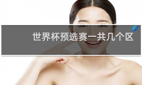 世界杯预选赛一共几个区