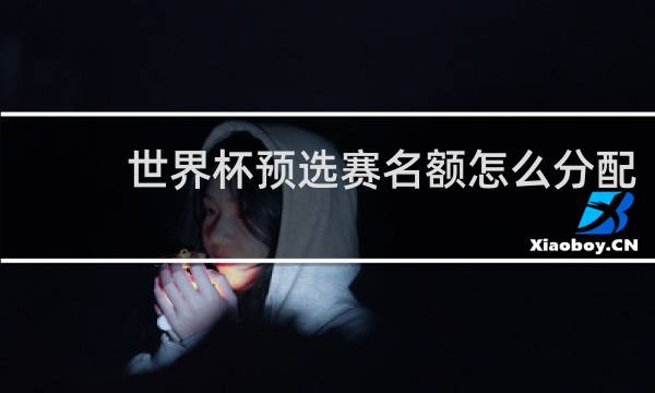 世界杯预选赛名额怎么分配