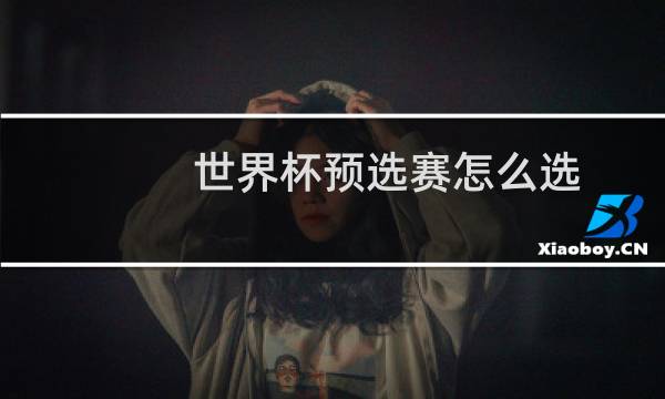 世界杯预选赛怎么选