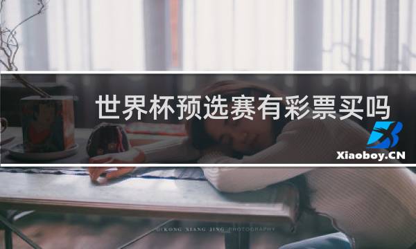 世界杯预选赛有彩票买吗