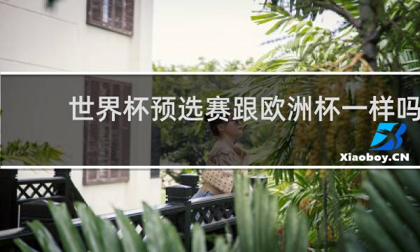 世界杯预选赛跟欧洲杯一样吗