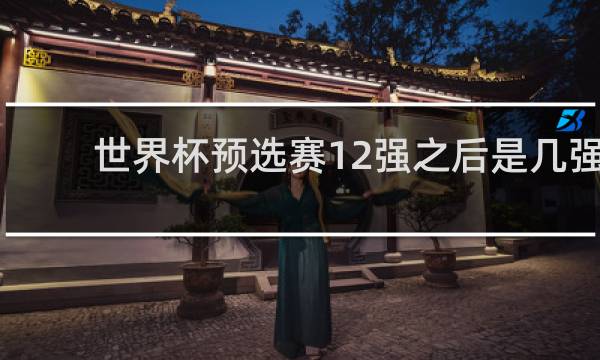 世界杯预选赛12强之后是几强