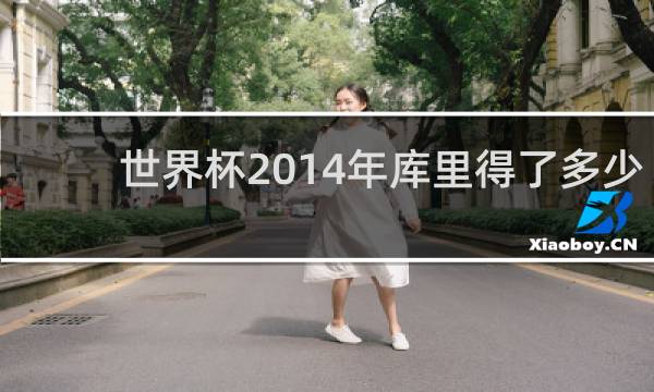 世界杯2014年库里得了多少分