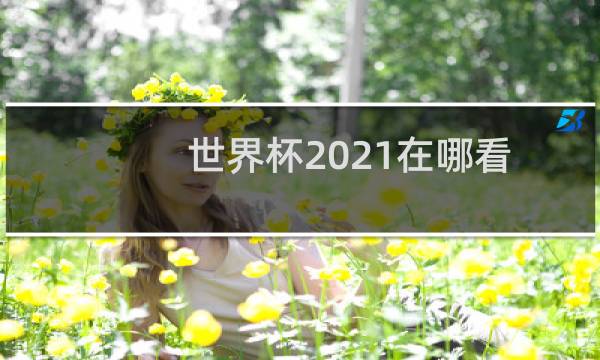 世界杯2021在哪看