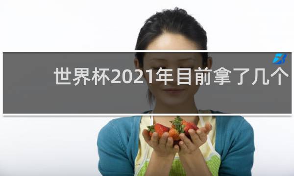 世界杯2021年目前拿了几个冠军