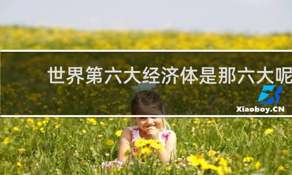 世界第六大经济体是那六大呢