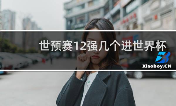 世预赛12强几个进世界杯