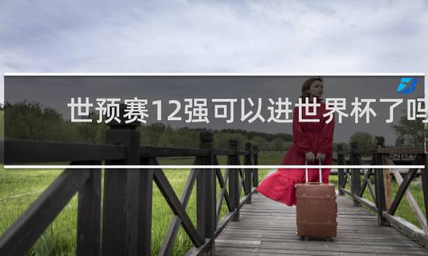 世预赛12强可以进世界杯了吗