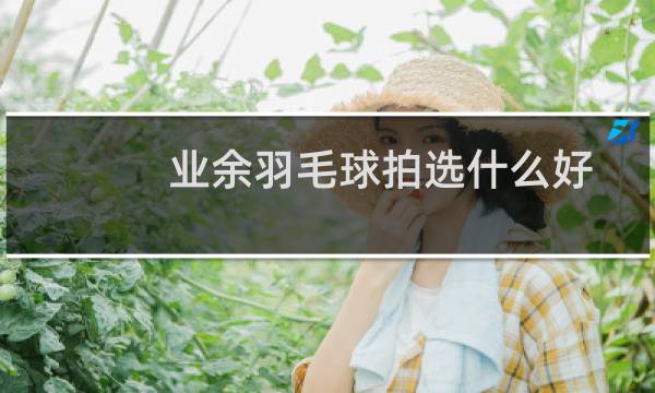 业余羽毛球拍选什么好