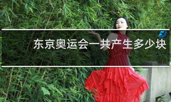 东京奥运会一共产生多少块