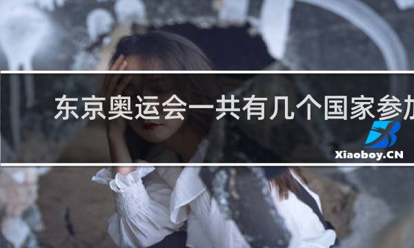 东京奥运会一共有几个国家参加