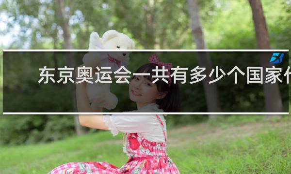 东京奥运会一共有多少个国家代表团